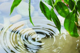 Top up with BIO-SYN HEES and we&rsquo;ll renew your BIO CERTIFICATION!