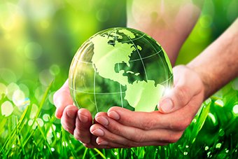 BIO-SYN HEES has the smallest carbon footprint